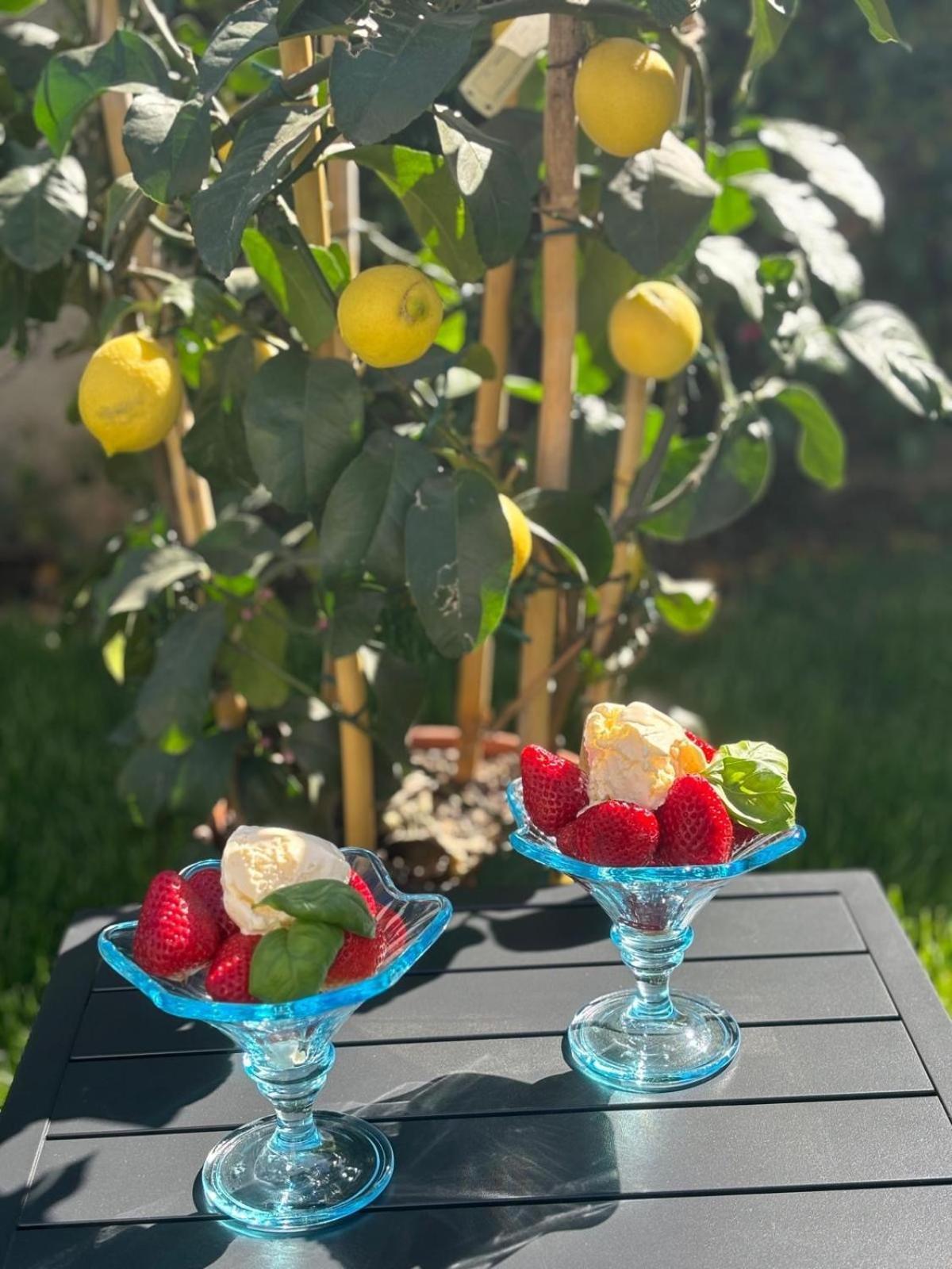 Villa Gio'S 蒙扎 外观 照片